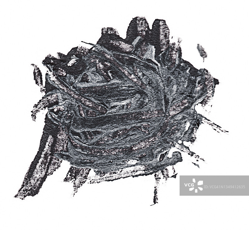 白色背景上的黑色抽象丙烯画图片素材