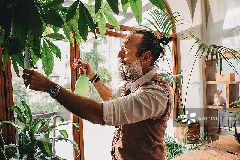 中年男人在家照料植物图片素材