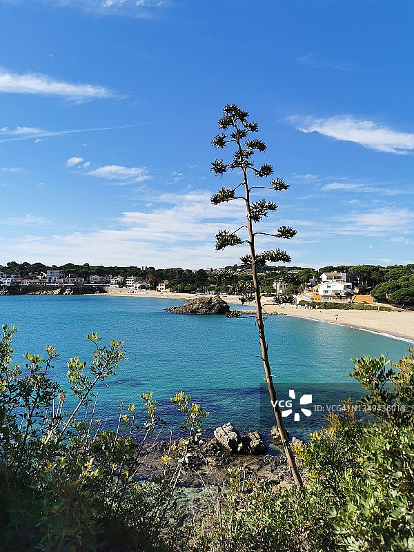 圣埃斯特韦海湾，布拉瓦海岸，赫罗纳，加泰罗尼亚，西班牙图片素材