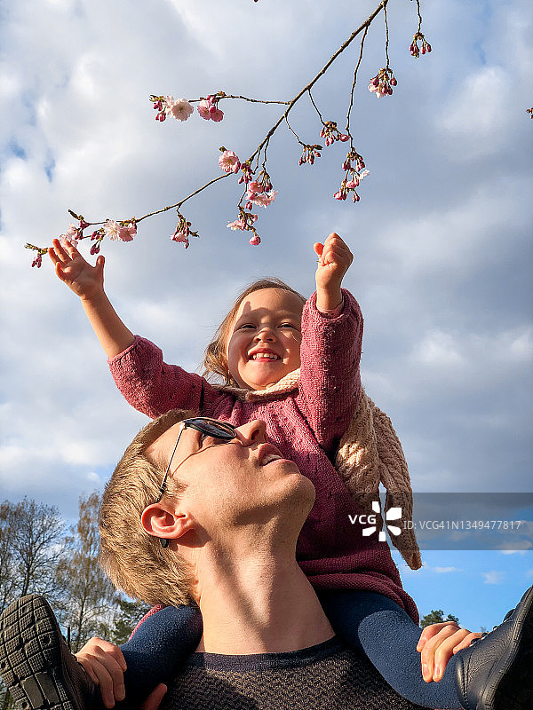 父亲和孩子欣赏樱花树图片素材