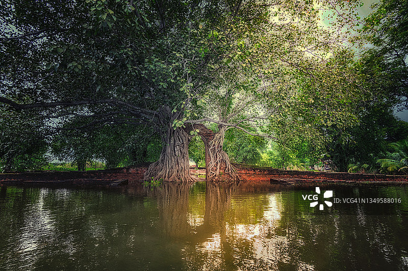 阿瑜陀耶古庙的入口图片素材