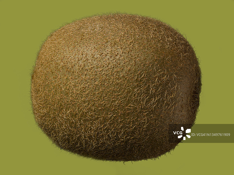 猕猴桃特写图片素材