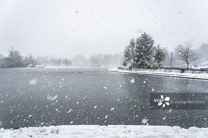 公园里的暴风雪图片素材