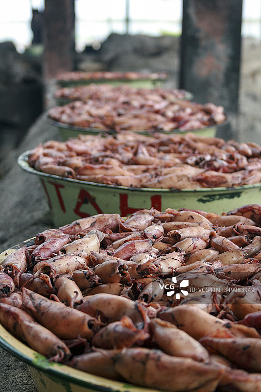 印度尼西亚龙目岛图片素材