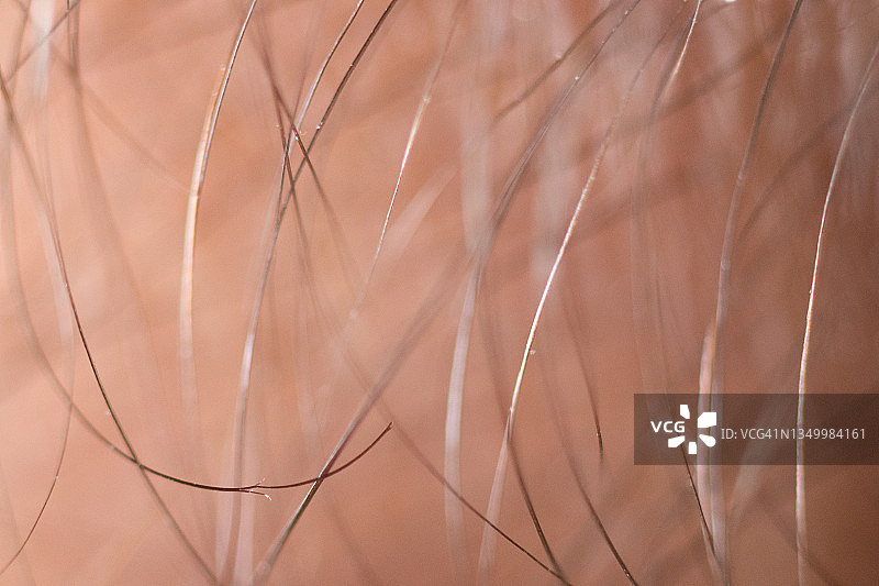 人物头发的微距摄影图片素材