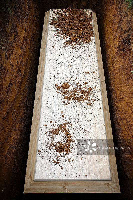 棺材被放入绿色墓地图片素材