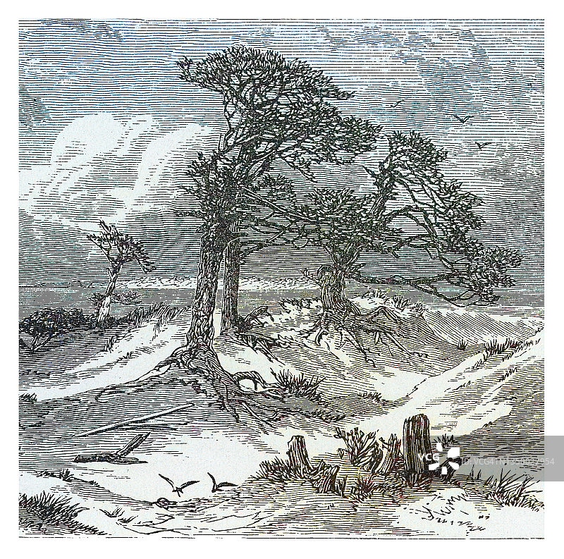 风暴中海滩的古老雕刻插图图片素材