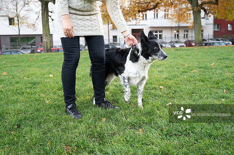 女人在公园里抱着她的狗图片素材