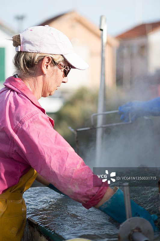 贻贝养殖女工图片素材