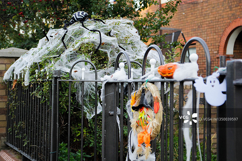 万圣节蜘蛛装饰图片素材
