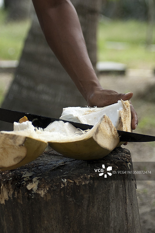 切椰子图片素材