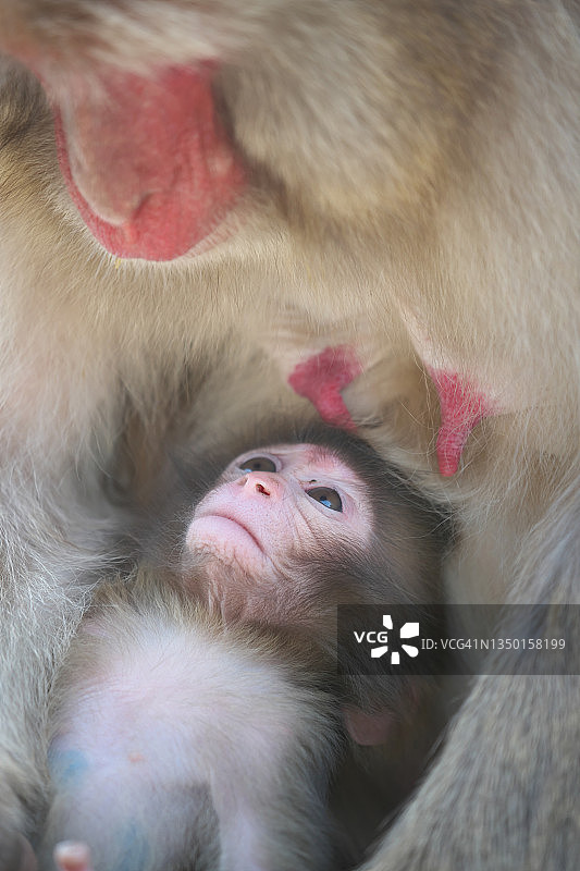 面对面图片素材