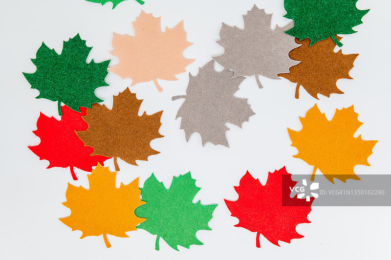 白色背景上的彩色树叶图片素材