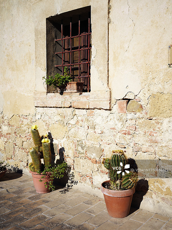 托斯卡纳的植物盆栽和石墙图片素材