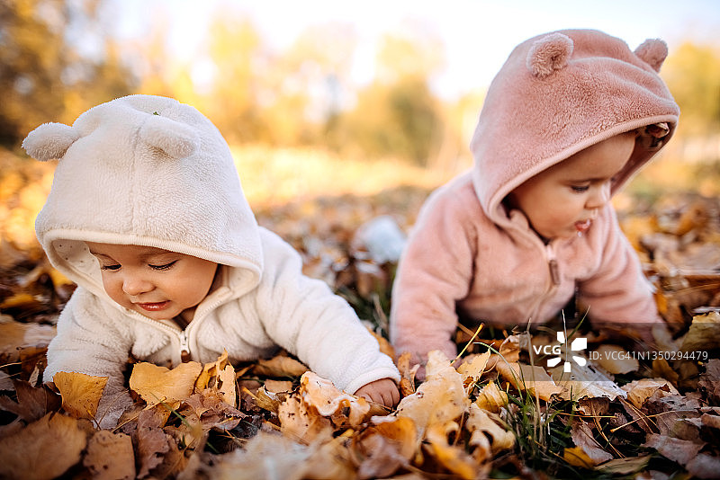 可爱的双胞胎宝宝图片素材