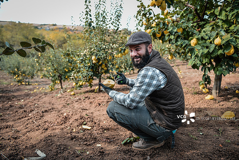 年轻男人在果园工作图片素材