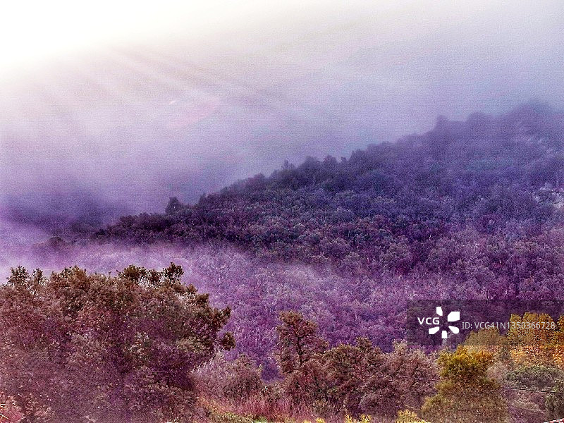 清晨薄雾图片素材