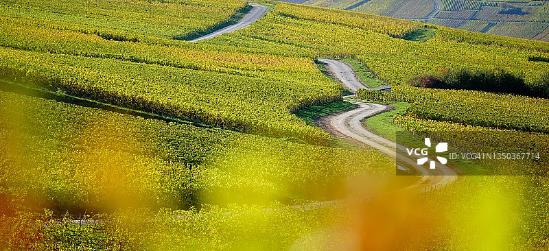 秋季田园乡村公路图片素材