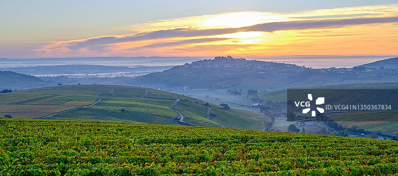 桑塞尔葡萄园的黎明图片素材