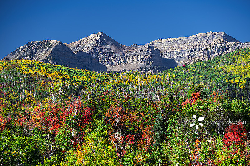 秋色中的蒂姆帕诺戈斯山图片素材