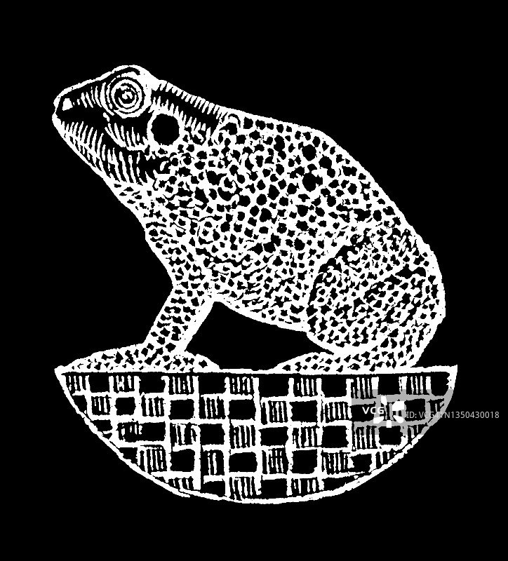 青蛙雕刻插图图片素材