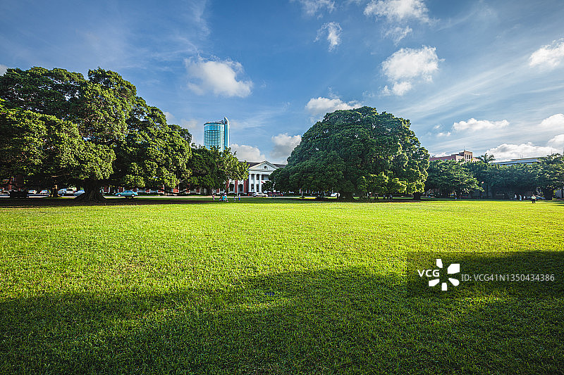 午后阳光下的校园庭院图片素材