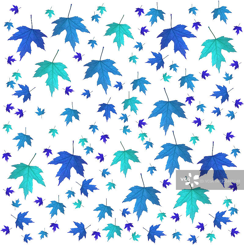 蓝紫青色枫叶设计图片素材