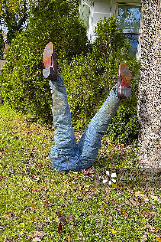 有趣的万圣节前草坪概念图片素材