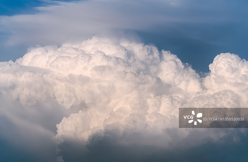 阴天的低角度视图图片素材