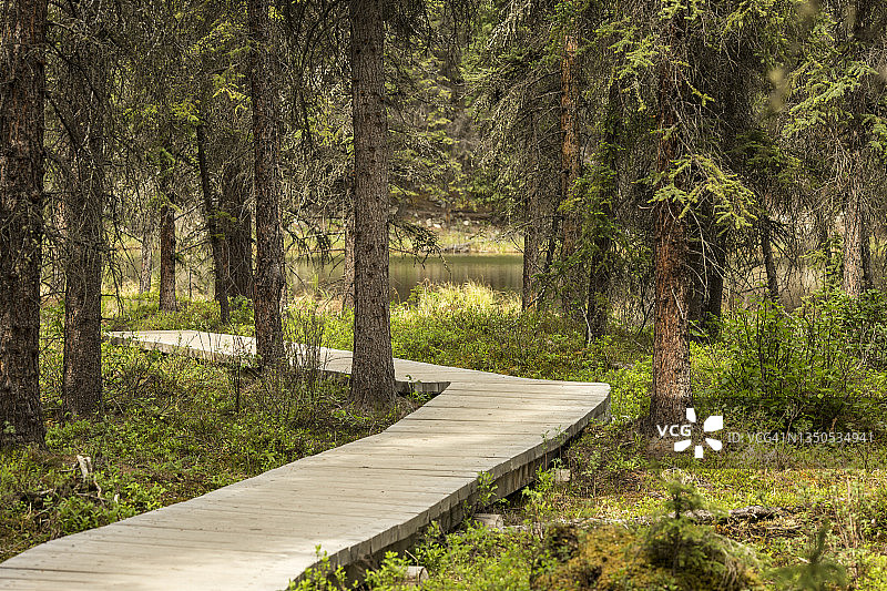 德纳利木板路图片素材