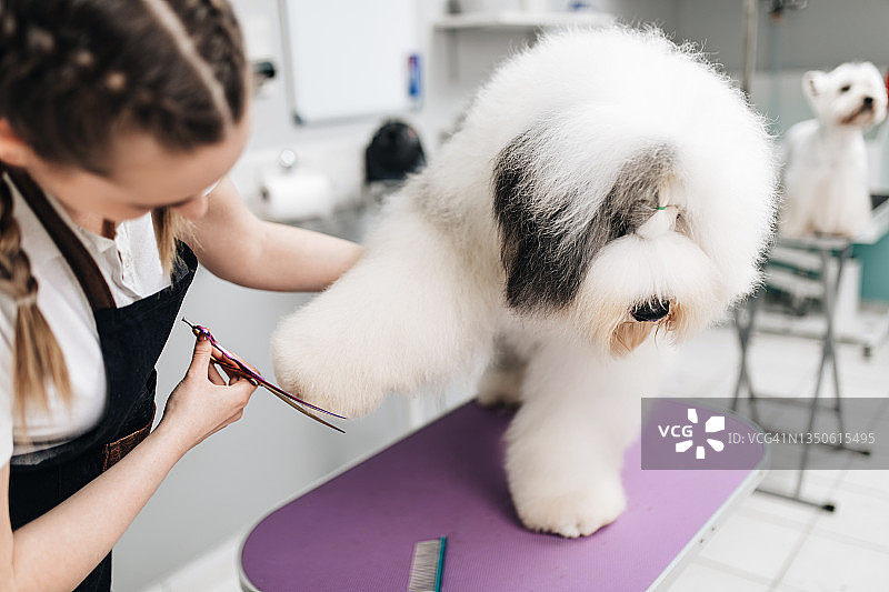 美容沙龙图片素材