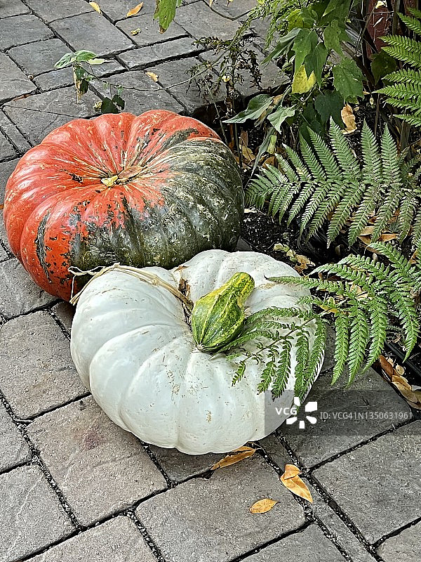 南瓜、装饰、秋季图片素材