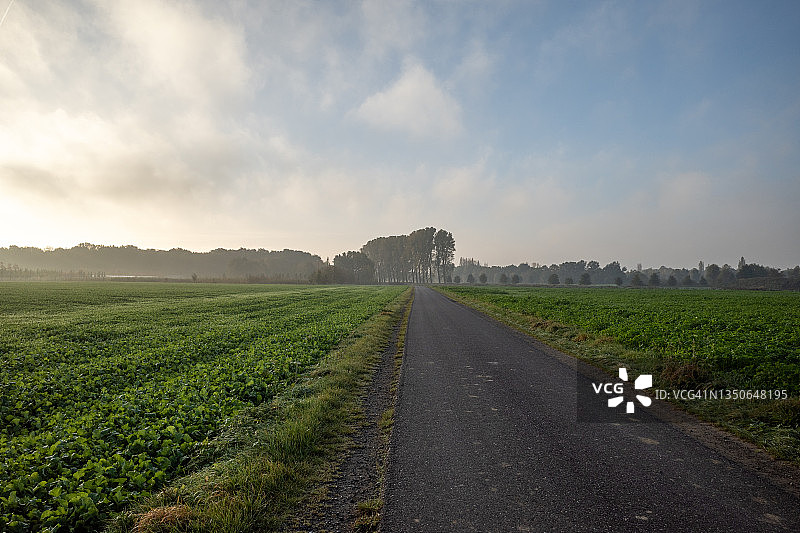小路上薄雾笼罩的晴朗风景，雾气笼罩着农田图片素材