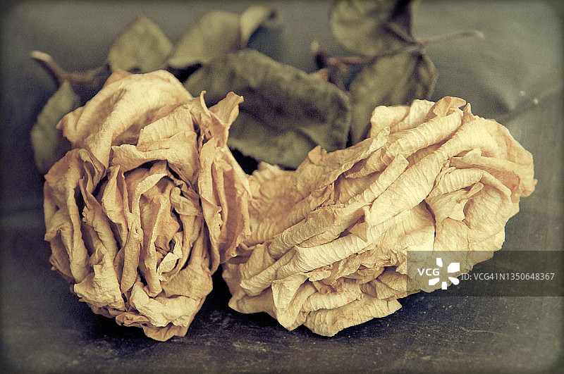 纹理背景上的两朵干玫瑰图片素材