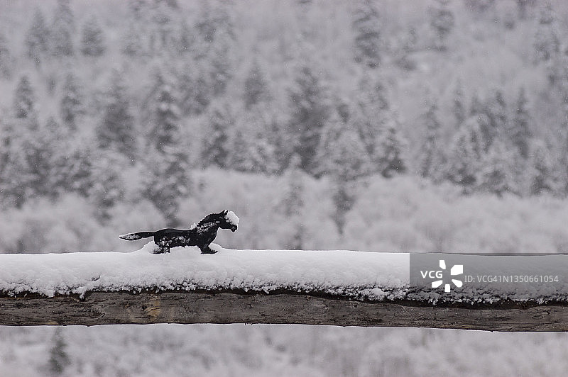 科罗拉多州麦克卢尔山口的初雪图片素材