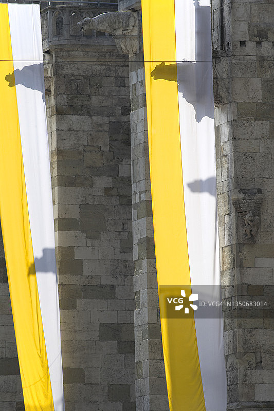 被梵蒂冈旗帜覆盖的雷根斯堡主教座堂滴水嘴图片素材
