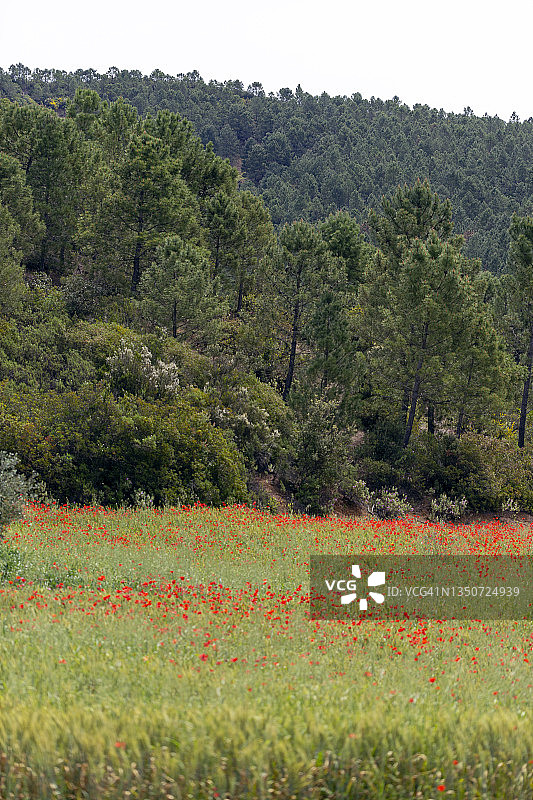 摩洛哥中阿特拉斯山脉图片素材
