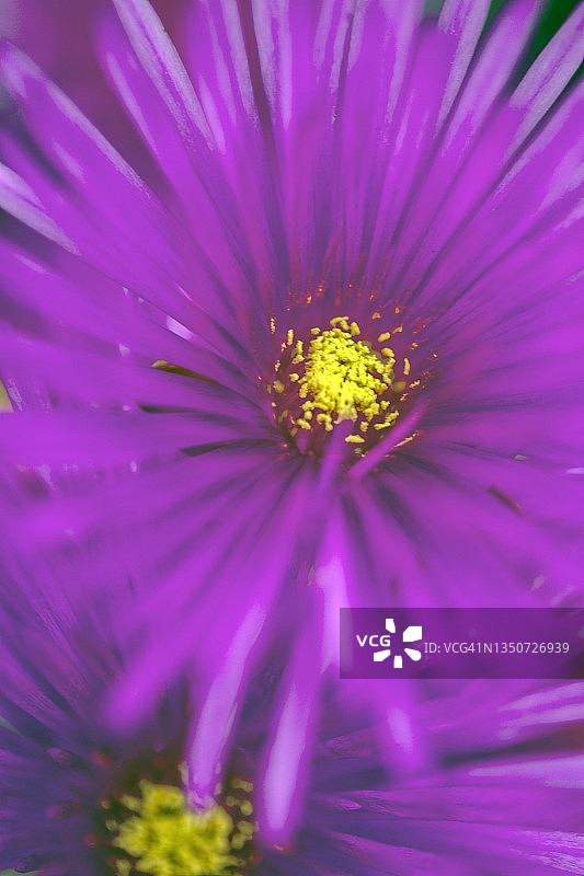 摩洛哥中阿特拉斯山脉图片素材