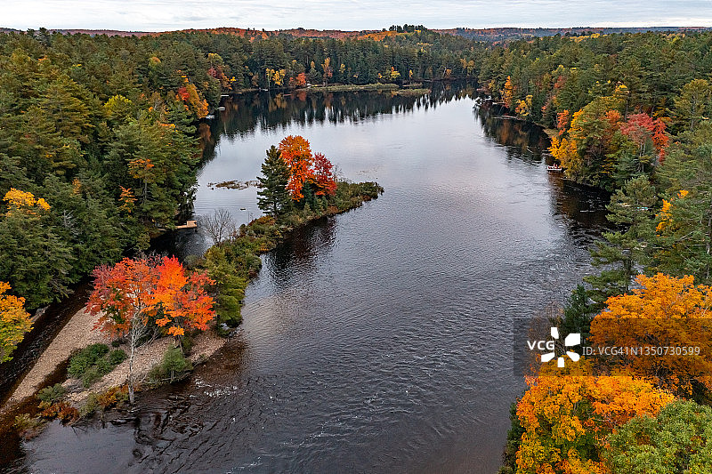 加拿大悉尼港印第安登陆公园遗产树图片素材