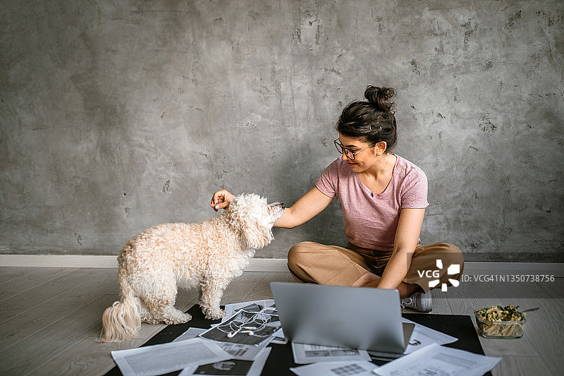 与可爱小狗在公司地板上工作的年轻创意女性图片素材