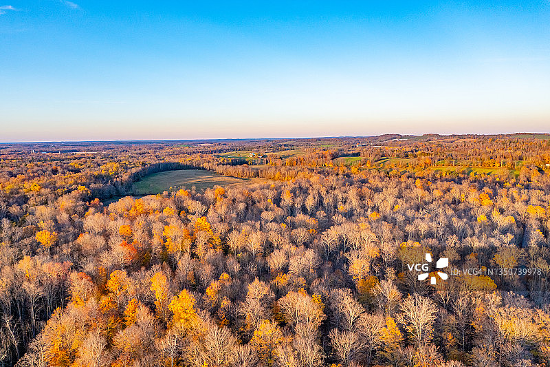 黄昏时分，加拿大阿斯福德-诺伍德的乡村公路，两旁是色彩斑斓的枫叶图片素材