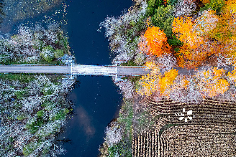 黄昏时分，加拿大阿斯福德-诺伍德的乡村公路，两旁是色彩斑斓的枫叶图片素材