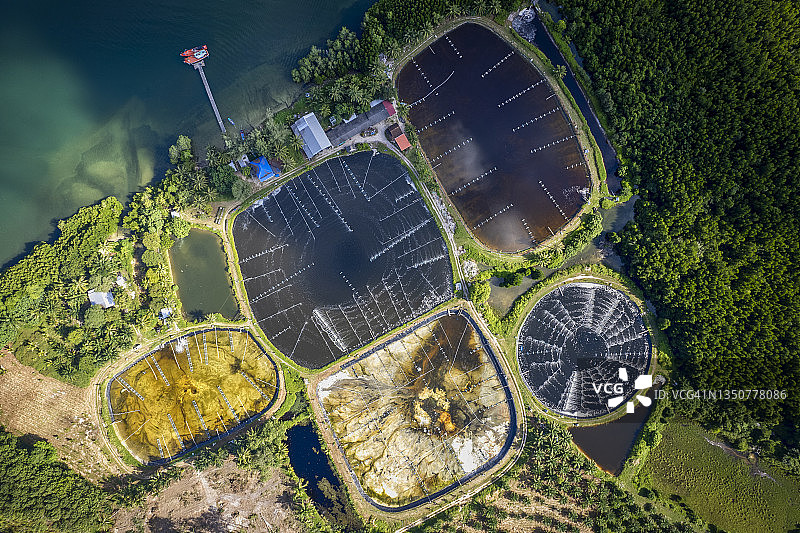 泰国虾场和空气净化器航拍，持续增长的水产养殖业务出口国际市场图片素材