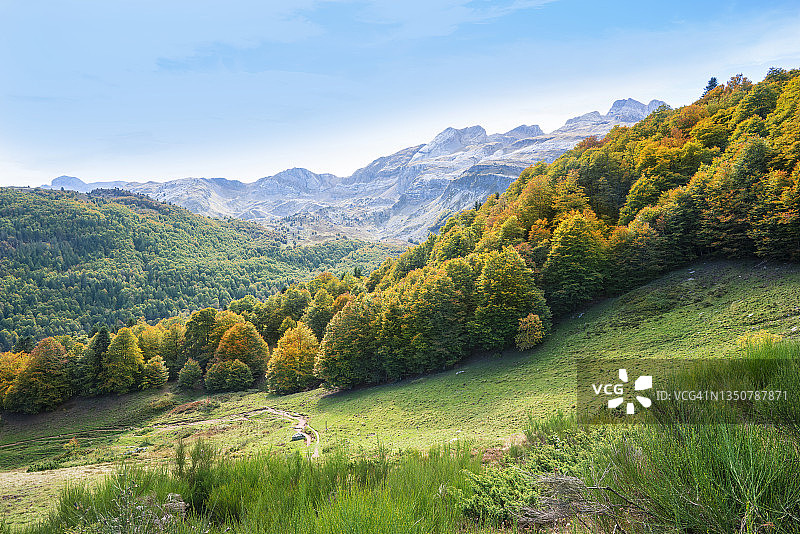 比利牛斯山脉阿斯佩山谷的桑萨内特山毛榉秋季森林图片素材