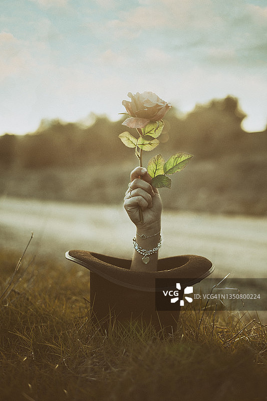 高顶礼帽的魅力图片素材