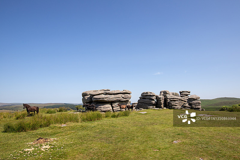 达特穆尔小马图片素材