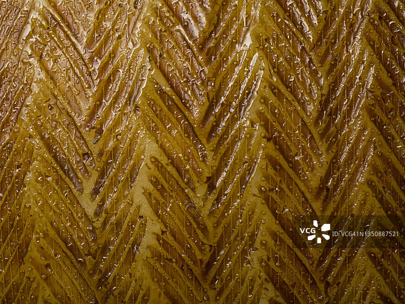 曼彻格奶酪外皮特写镜头图片素材