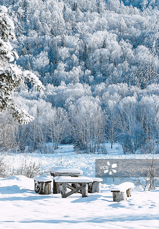 冬日阳光下阿勒泰共和国的木桌和长凳图片素材