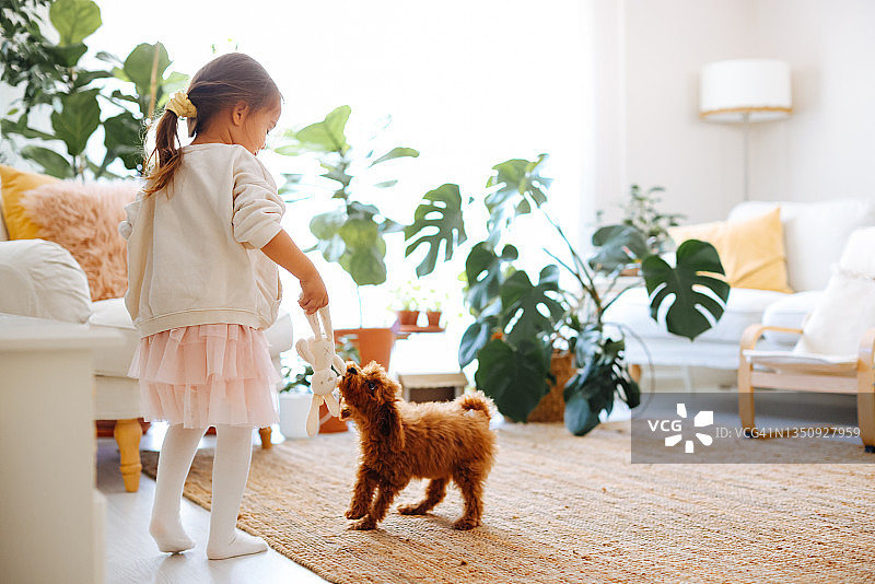 小女孩和小狗玩耍图片素材