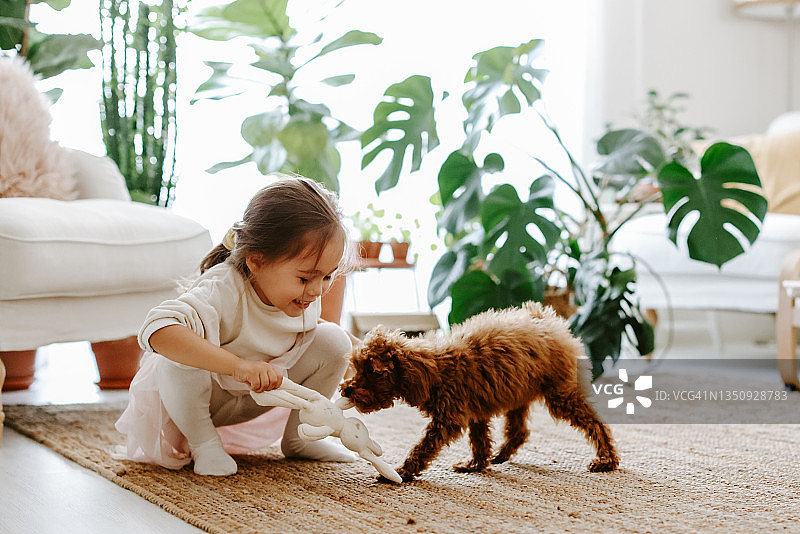 小女孩和小狗玩耍图片素材